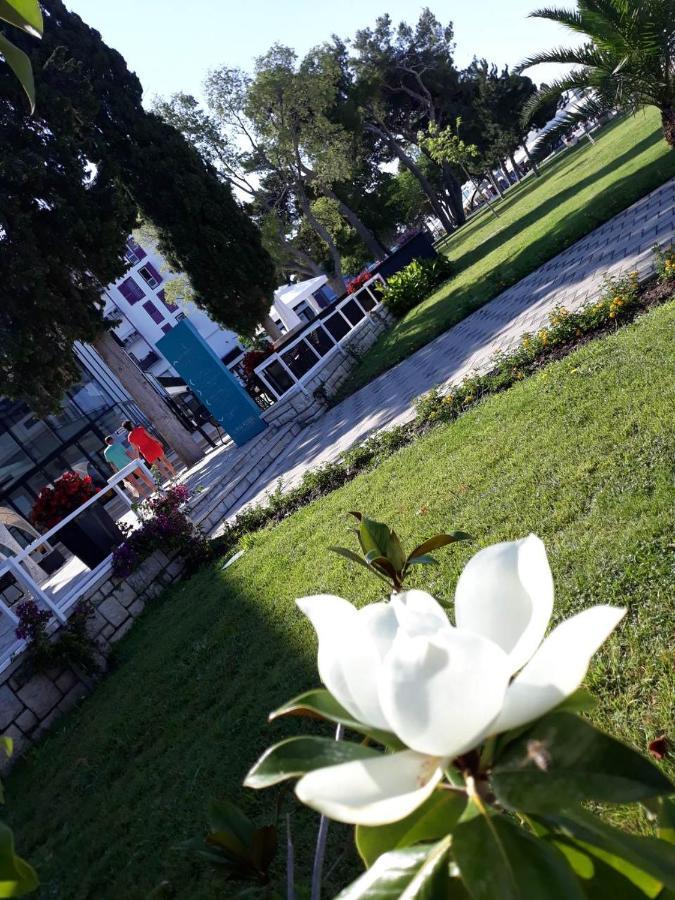 Apartments Star With Pool Biograd Na Moru Dış mekan fotoğraf