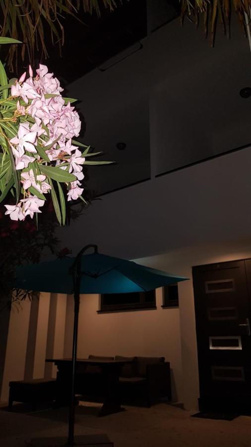 Apartments Star With Pool Biograd Na Moru Dış mekan fotoğraf