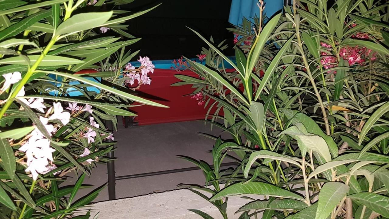 Apartments Star With Pool Biograd Na Moru Dış mekan fotoğraf