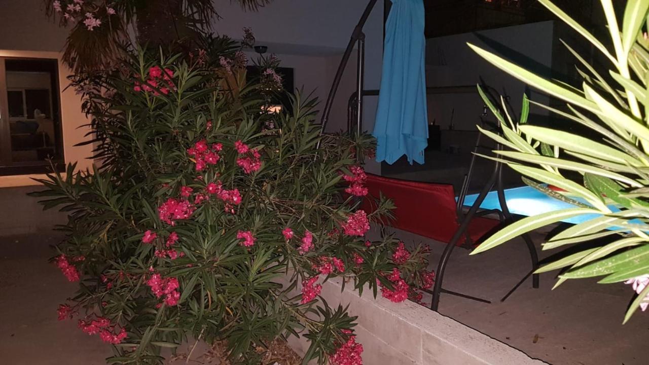 Apartments Star With Pool Biograd Na Moru Dış mekan fotoğraf