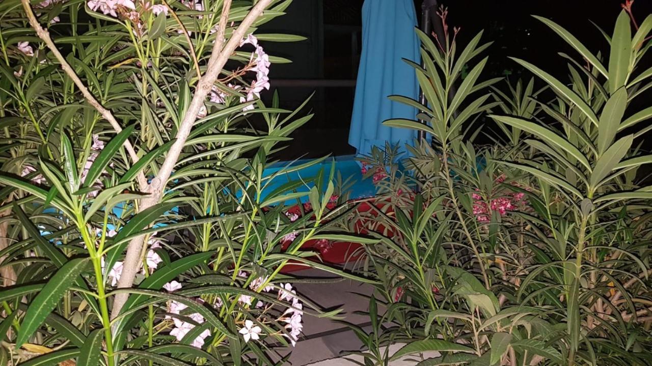 Apartments Star With Pool Biograd Na Moru Dış mekan fotoğraf